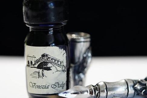 Diverse Foliage by Jose Gonzalo