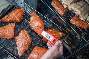 Using a thermometer to check the temperature of cooked fish