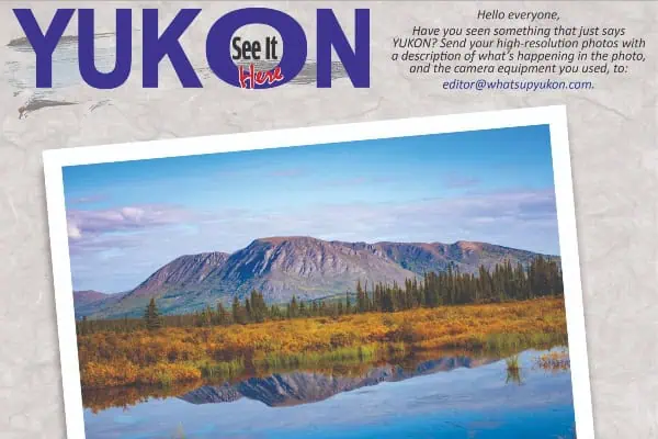 Yukon see it here: Autumn On Annie Lake Road
