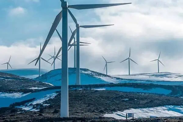 Community Ecologies: The Winds of Change