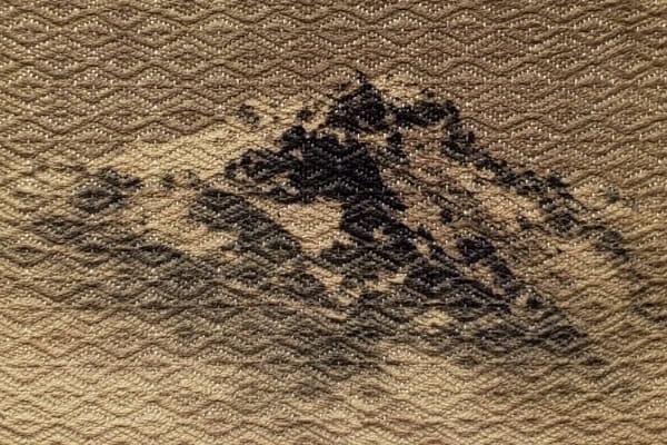 Reaching Toward relationship to place