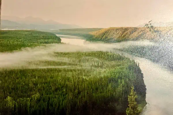 The Day I Gave Up My Fishing Spot