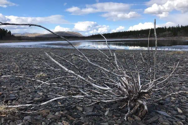 Ground For Discovery